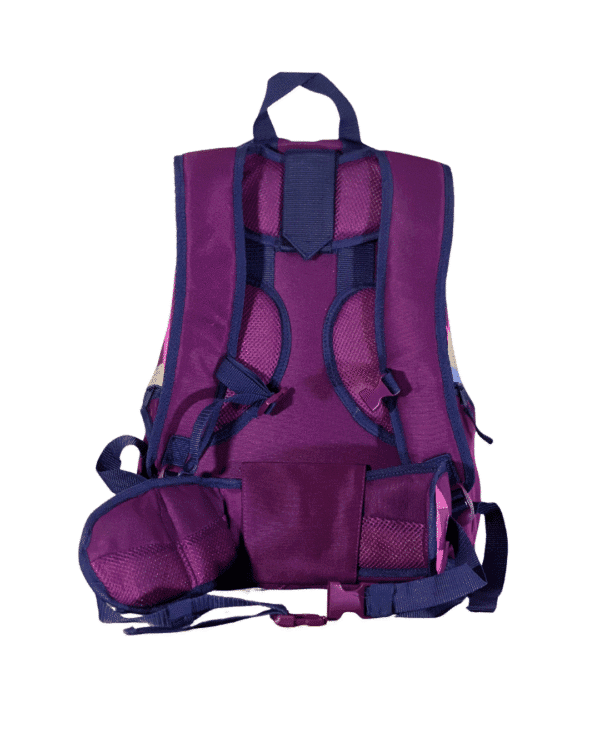 Magenta Cruise BackPack With Raincoat